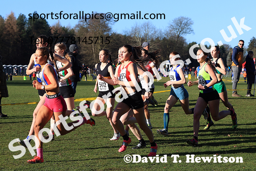 Junior Womens 2025 Northern Cross Country Champs, Tatton Park, Knutsford, Cheshire. Photo: David T. Hewitson/Sports for All Pics